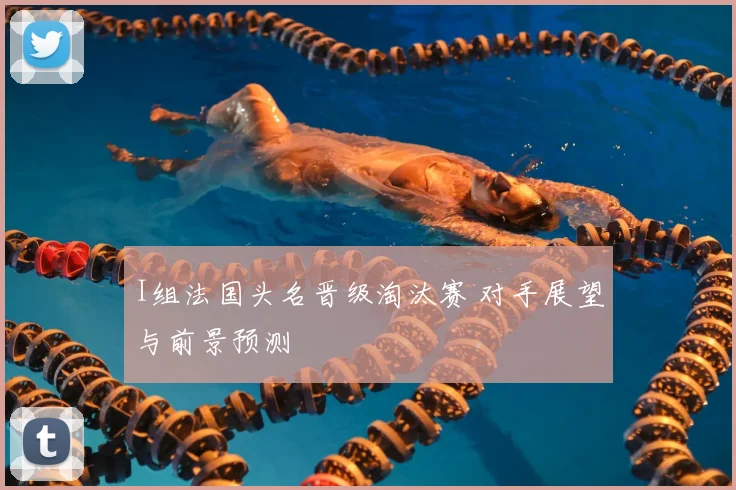 I组法国头名晋级淘汰赛 对手展望与前景预测
