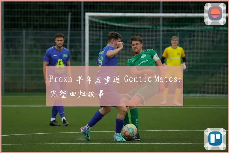Proxh 半年后重返 Gentle Mates:完整回归故事