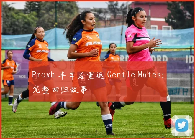 Proxh 半年后重返 Gentle Mates:完整回归故事