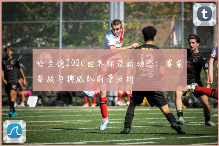 哈兰德2026世界杯最新动态:赛前备战与挪威队前景分析